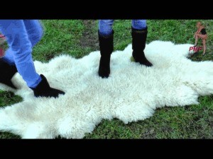 Lamb Fur Under Merciless Boots 4