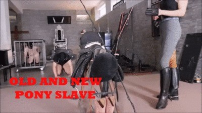 Mistress Gaia – Old And New Pony Slave