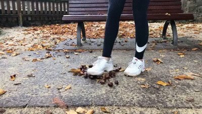 Sneakergirly Lilly – Chestnuts
